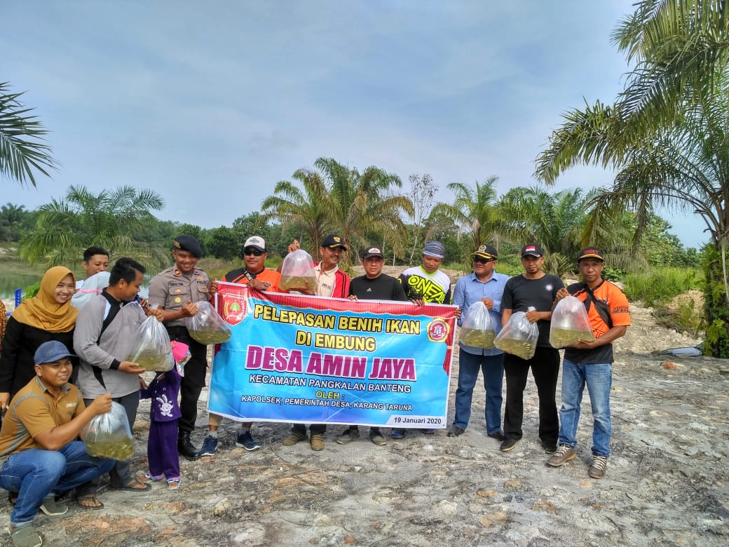 PELEPASAN BENIH IKAN DI EMBUNG DESA OLEH KARANG TARUNA DESA AMIN JAYA